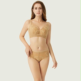绿野仙踪系列无钢圈中厚杯亲肤棉性感蕾丝文胸套装CB21013B+CB21013K